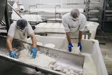 Manual workers in cheese and milk dairy production factory. Traditional European handmade healthy food manufacturing.