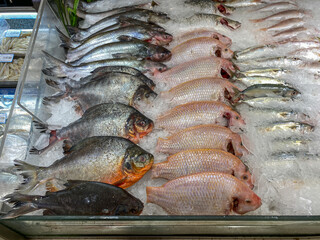 Assortment of raw fish on frozen ice at supermarket 