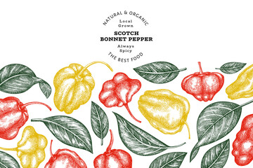 Hand drawn sketch style scotch bonnet pepper banner. Organic fresh vegetable vector illustration. Retro cayenne pepper design template