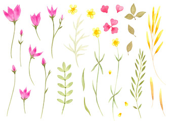Watercolor flowers clipart set meadow summer collection