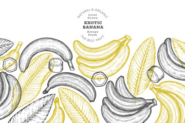 Hand drawn sketch style banana banner. Organic fresh fruit vector illustration. Retro exotic fruit design template © lubovchipurko