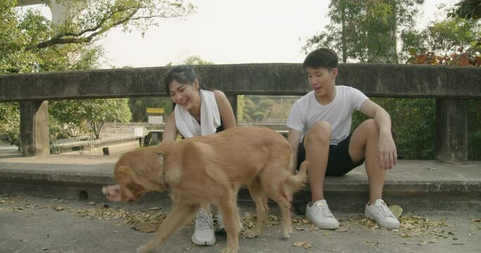 2 pretty and handsome male and female Teenage joyful happy smiling laughving playing pet brown hair dog golden retriver together outdoor at playground    