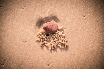 A small crab hole dug on the beach next to a red rock.