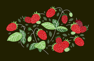 Fresh delicious ripe wild strawberries vector flat illustration on dark background, natural diet food vegetation tasty eating, forest wild berries series.