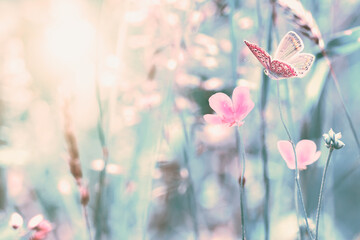 Shallow depth beautiful wildflowers, butterfly in the dreamy meadow. Delicate retro colors pastel toned. Macro background. Greeting card template. Copy space. Nature floral springtime - 428778482