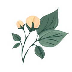 A branch of a blossoming tree. Leaves and flowers. Unblown bud. Isolated vector botanical clip art element for design.