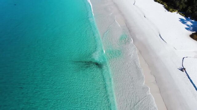 Upwards Panning Drone Shot Of Hyams Beach, Slowly Revealing The Turquoise Ocean With Waves Crashing on the White Sandy Beach