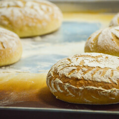 Pão Artesanal
Pão Caseiro
Pão
Gastronomia
PornFood