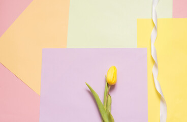 Yellow tulip on colorful sheets of paper. Bright floral background.