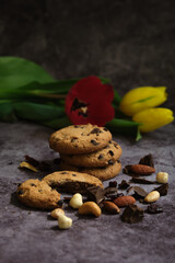 chocolate cookies and tulips on a gray background