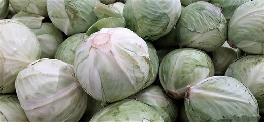 Fototapeta na wymiar cabbage heads on the market