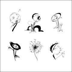 Set of hand drawn fantasy flowers. Spring summer flowers dandelion in different form, patterned design elements for logo, tatoo, cards. Vector illustration