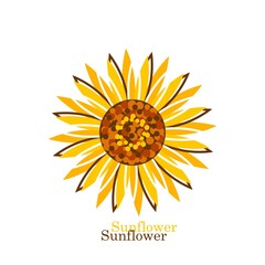 Sunflower on white background in flat style