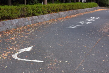 駐車禁止が道路に書いてある