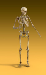 A degraded skeleton figure in a dynamic pose. 3d Illustration