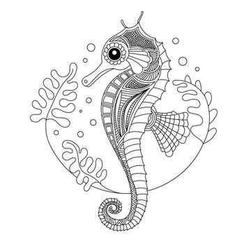 Seahorse coloring book illustration. Black and white lines. Print for t-shirts and coloring books.