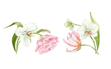 set of watercolor delicate bouquets of flowers pink tulips and white orchids isolated on white background hand painted