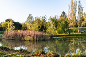 Fototapeta na wymiar Gilbert Vilers park, in Aix-en-Provence