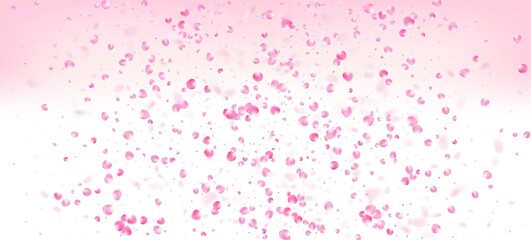 Rose Petals Falling Confetti. Windy Leaves Confetti Poster. Flying