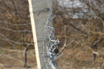 Old rusty barbed wire fence in the forest