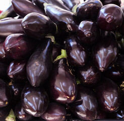 Fresh eggplant on market counter