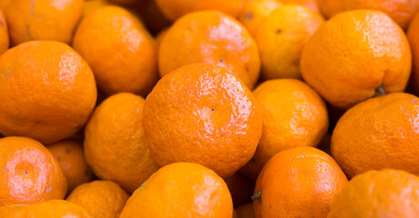 apetitic juicy farm mandarins at market counter