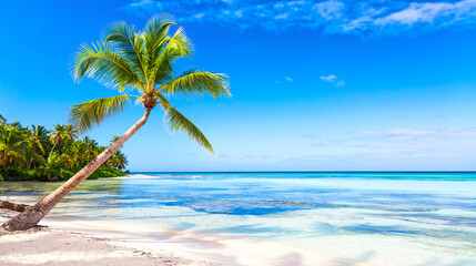 Naklejka na ściany i meble Palm trees on the caribbean tropical beach. Saona Island, Dominican Republic. Vacation travel background
