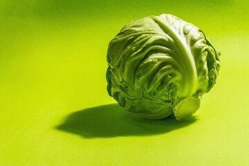 Fototapeta premium Fresh young cabbage, whole head in bright green background