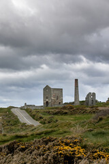 ancient remnants of mine in spring, vertical format image. Tankardstown. Copper Coast Geopark. Ireland