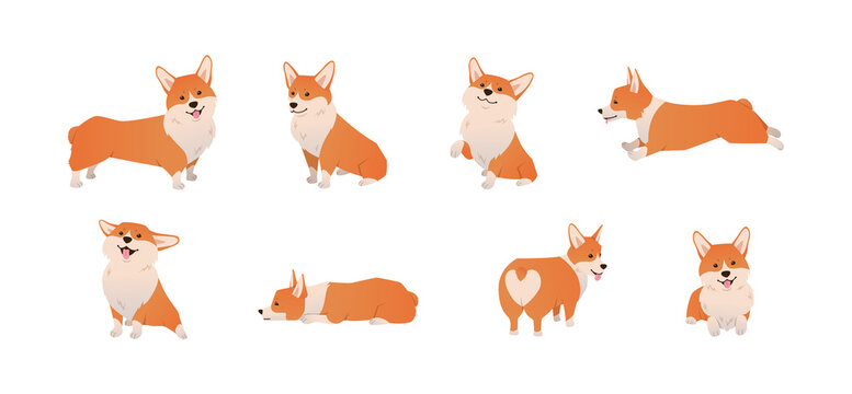Cartoon Pembroke Welsh Corgi illustration set in different poses. Cute sitting, running and lying vector dog isolated on white background