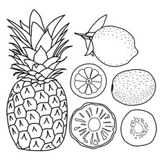 set of tropical fruits