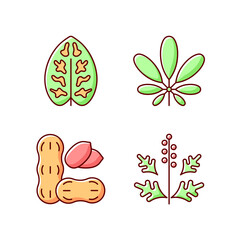 Reason for allergy RGB color icons set. Dieffenbachia, schefflera. Ragweed pollen. Allergen from peanuts. Cause of allergic reaction. Food intolerance. Isolated vector illustrations