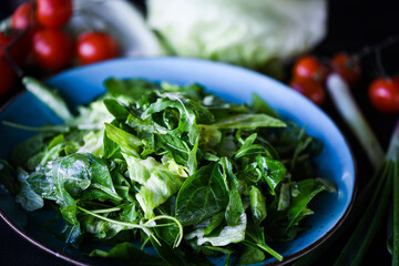 mix of fresh lettuce close up