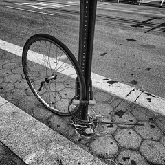 gut gesichertes Einrad