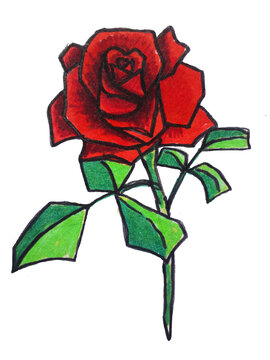 tattoo sketch:bold dark red rose painted in watercolor