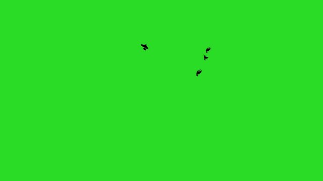 Black silhouettes of doves flying vertically, Chroma Key attached, 4K