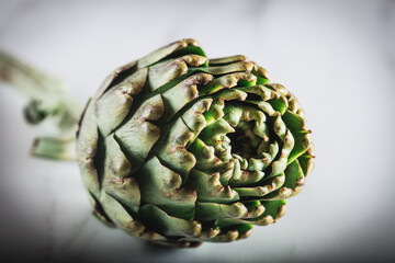 Obraz premium Close-Up Of Artichoke Against White Background