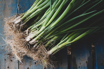 High angle close up of bunches of freshly picked spring onions.