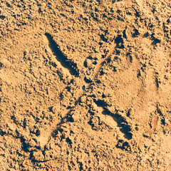 sand alphabet