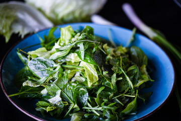 mix of fresh lettuce close up