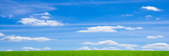 Fototapeta na wymiar 緑の草原と青空パノラマ