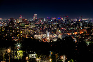 Fototapeta na wymiar 札幌・旭山記念公園の夜景