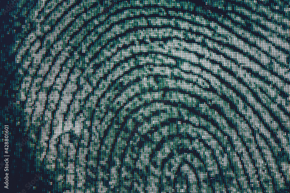 Leinwandbilder Close up beautiful abstract fingerprint on background texture for design. Macro photography view..