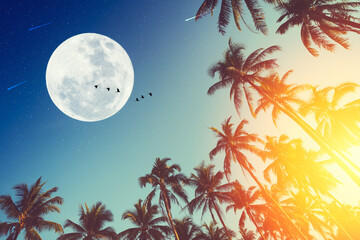 Tropical night. Full moon and palm leaf birds fly abstract background.