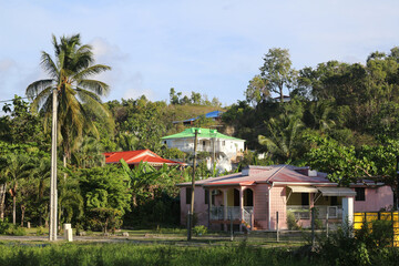 Colorful residential homes among tropical greenery on the Caribbean Island Guadeloupe, France