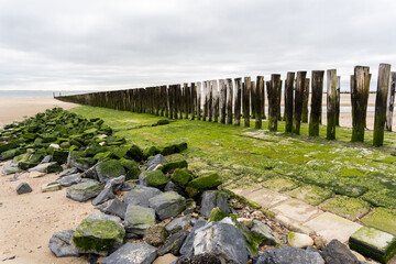 Landscape with traditional wooden pillars at the Dutch coast, province of Zeeland, North Sea on the horizon
