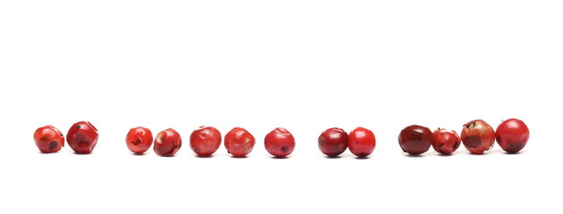 Red peppercorn row isolated on white background