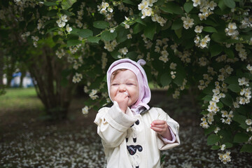 happy child sniffs jasmine flower in raincoat on background of flowering bush