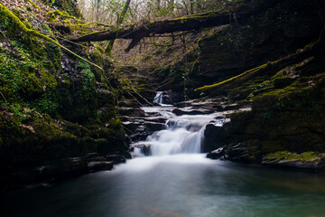 Fototapeta na wymiar Waterfall in the Woods