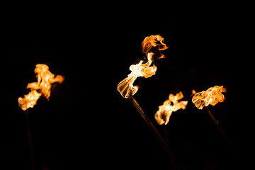 Fire eating torches with flame
